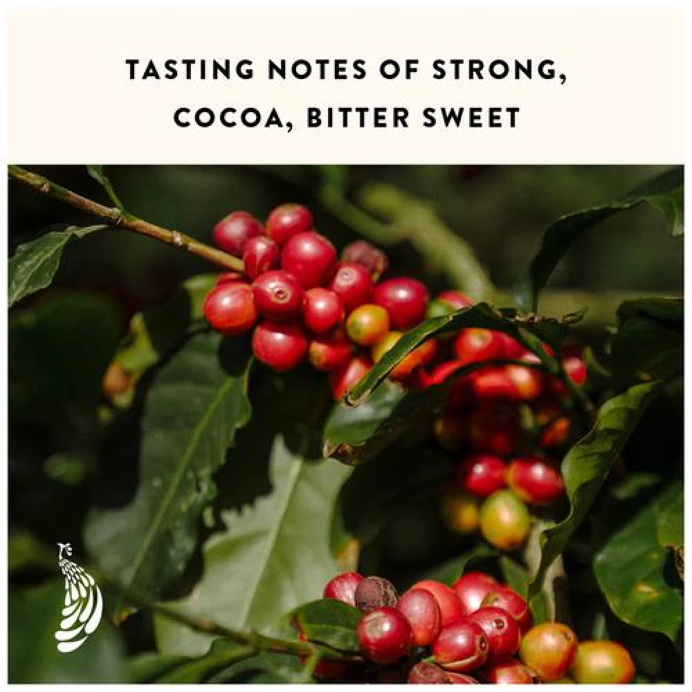 Blue Tokai French Roast Home Espresso Dark Roasted Arabica Ground Coffee, 250 g-9.webp